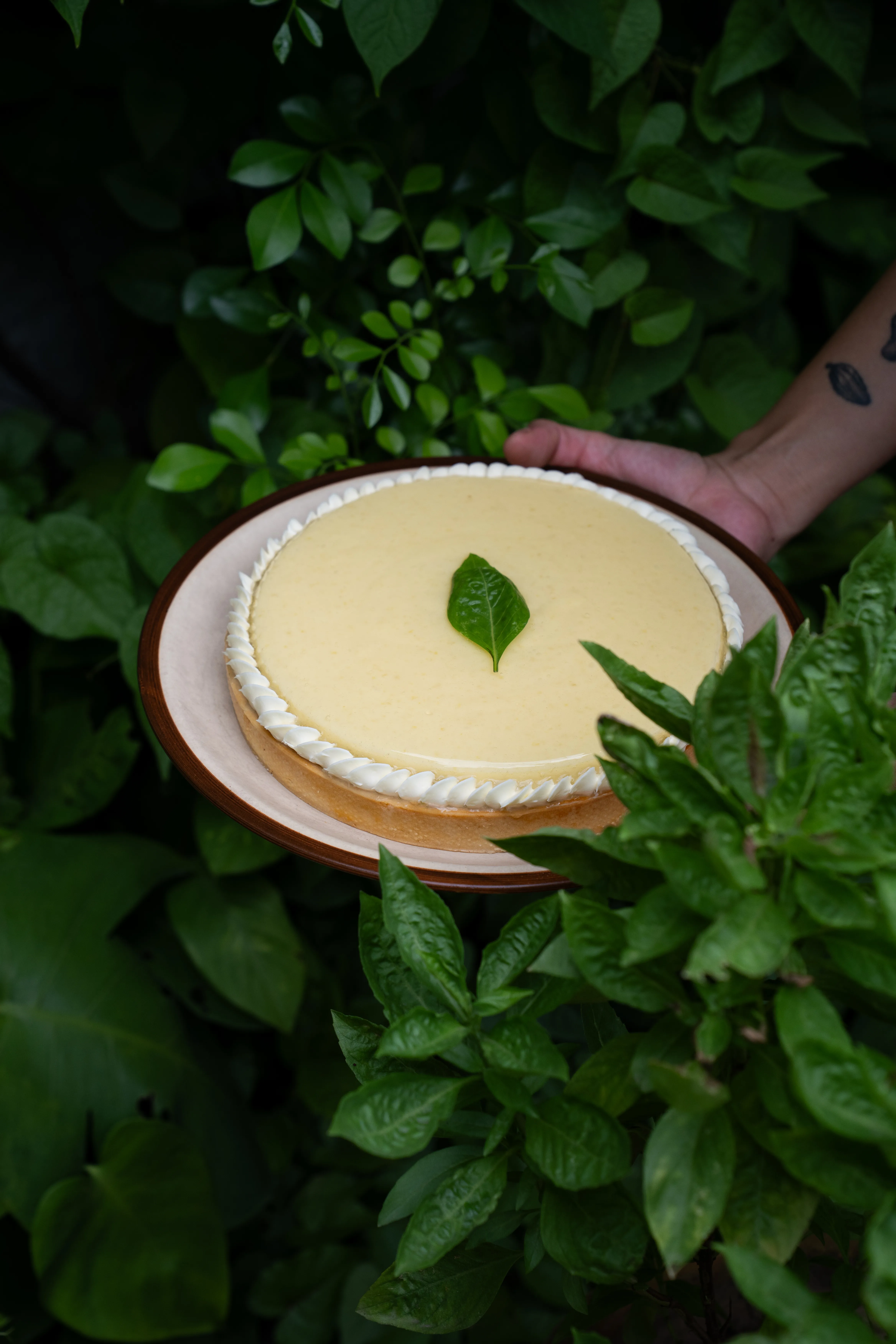 lemoncake